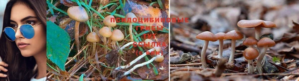 jwh Гусь-Хрустальный
