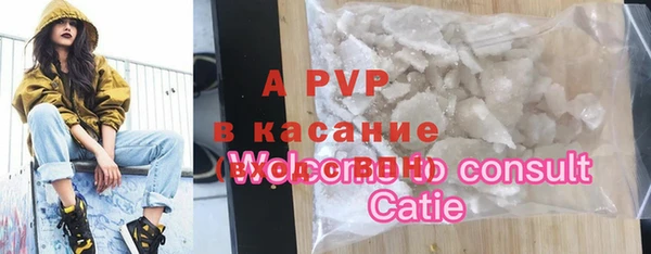 бошки Гусев