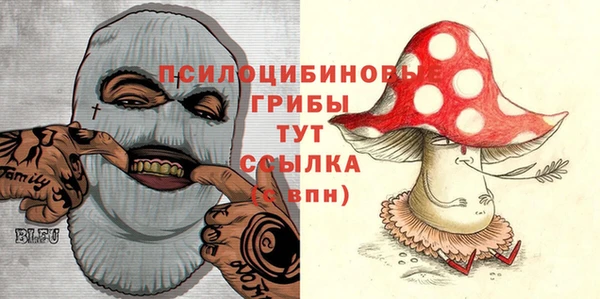 COCAINE Гусиноозёрск