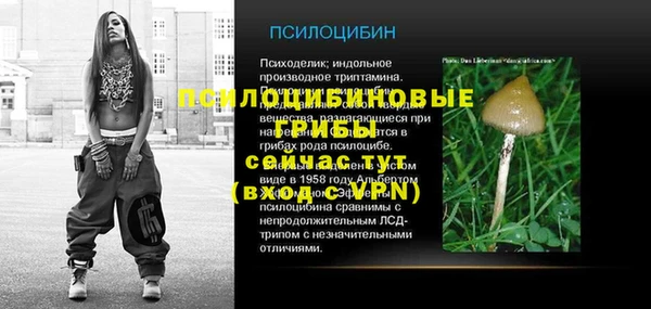 jwh Гусь-Хрустальный
