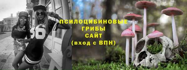 бошки Гусев