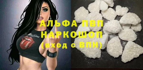 бошки Гусев