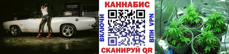 Купить Агрыз Шишки марихуана тримм